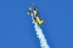 Pitts 12S